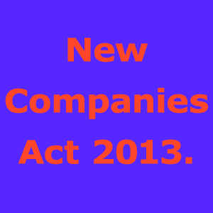 new-companies-act-2013